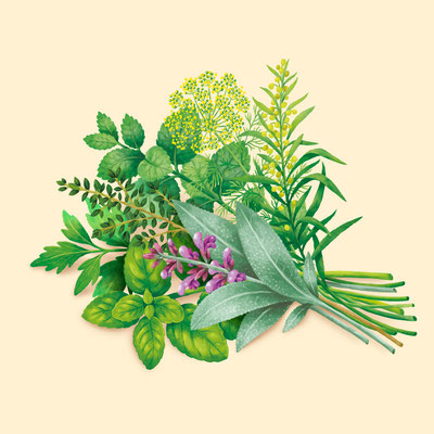 © Illustration für Beutelsbacher Fruchtsaftkelterei GmbH, Auftraggeber: Dittus Design | Packaging Design & Branding