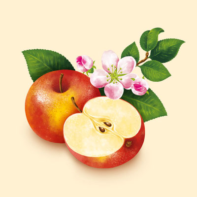© Illustration für Beutelsbacher Fruchtsaftkelterei GmbH, Auftraggeber: Dittus Design | Packaging Design & Branding