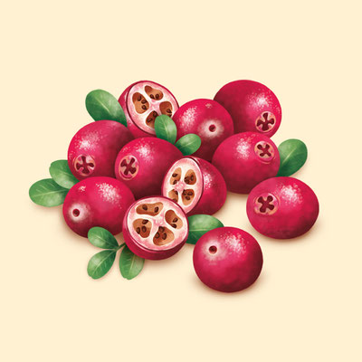 © Illustration für Beutelsbacher Fruchtsaftkelterei GmbH, Auftraggeber: Dittus Design | Packaging Design & Branding