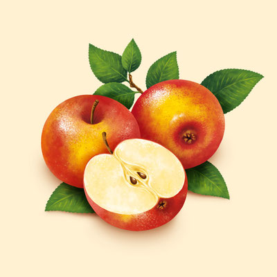 © Illustration für Beutelsbacher Fruchtsaftkelterei GmbH, Auftraggeber: Dittus Design | Packaging Design & Branding