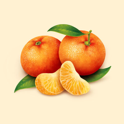 © Illustration für Beutelsbacher Fruchtsaftkelterei GmbH, Auftraggeber: Dittus Design | Packaging Design & Branding