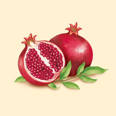 © Illustration für Beutelsbacher Fruchtsaftkelterei GmbH, Auftraggeber: Dittus Design | Packaging Design & Branding