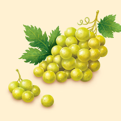 © Illustration für Beutelsbacher Fruchtsaftkelterei GmbH, Auftraggeber: Dittus Design | Packaging Design & Branding