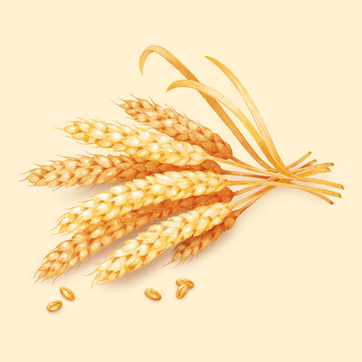 © Illustration für Beutelsbacher Fruchtsaftkelterei GmbH, Auftraggeber: Dittus Design | Packaging Design & Branding