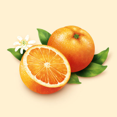 © Illustration für Beutelsbacher Fruchtsaftkelterei GmbH, Auftraggeber: Dittus Design | Packaging Design & Branding