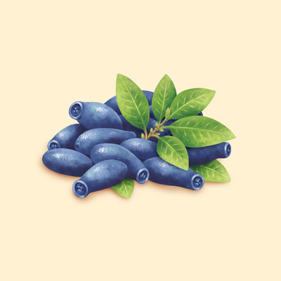 © Illustration für Beutelsbacher Fruchtsaftkelterei GmbH, Auftraggeber: Dittus Design | Packaging Design & Branding