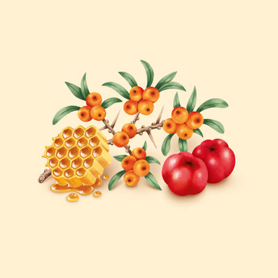 © Illustration für Beutelsbacher Fruchtsaftkelterei GmbH, Auftraggeber: Dittus Design | Packaging Design & Branding