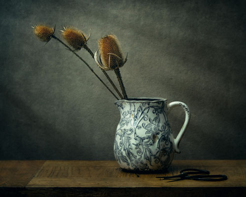 Still Life © Michael Schnabl