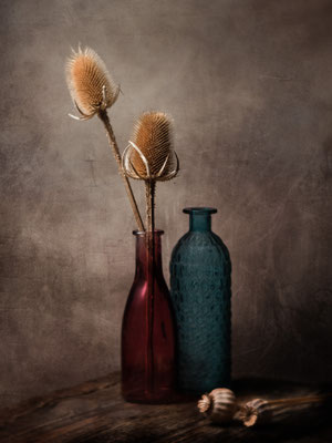 Still Life © Michael Schnabl