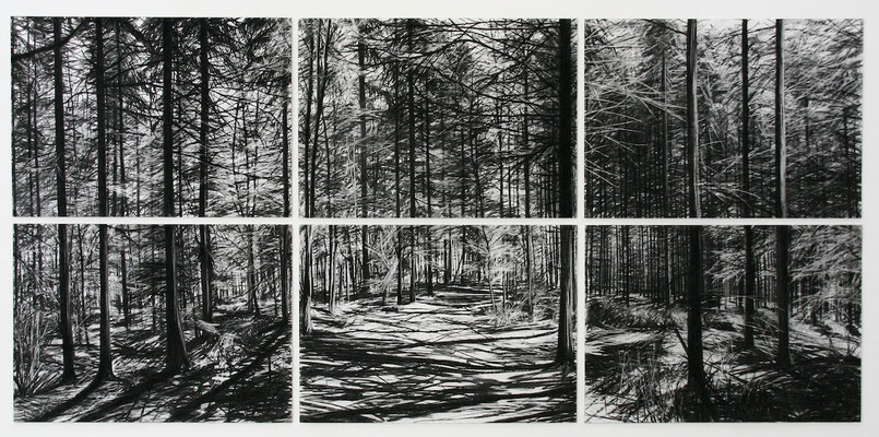 6 Tage, 2010, Kohle auf Papier, 100x210 cm, Sammlung der Bergischen Universität Wuppertal