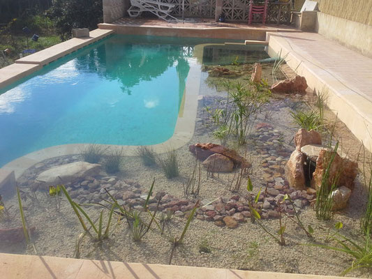 Convertir piscina en ecológica en Mallorca