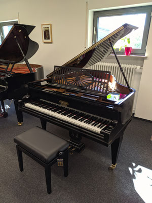 Schiedmayer 170