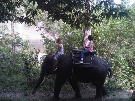 elephant trekking in Tankahan