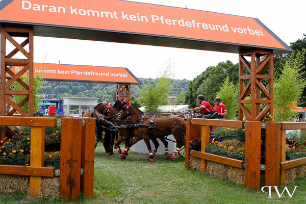 CHIO Aachen 2017 - Geländeprüfung Vierspänner...an Hindernis 1/Aachener Soers