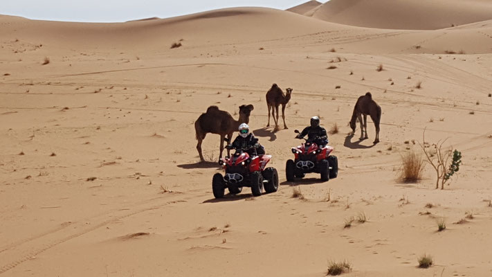 QUAD OUARZAZATE MAROKKO ABENTEUER QUAD BUGGY ENDURO