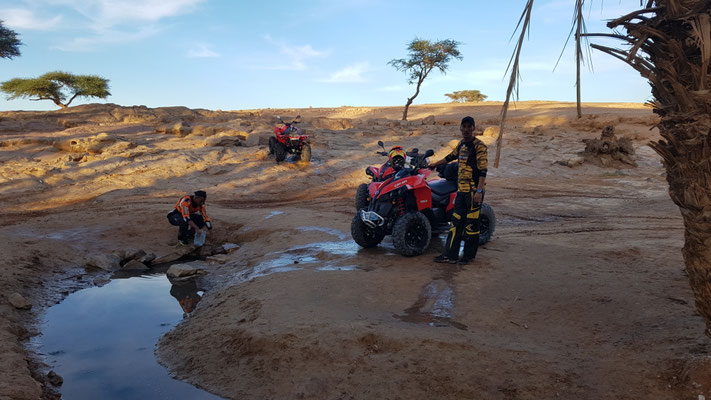 QUAD OUARZAZATE MAROKKO ABENTEUER QUAD BUGGY ENDURO
