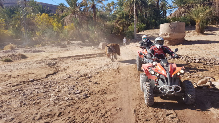 QUAD OUARZAZATE MAROKKO ABENTEUER QUAD BUGGY ENDURO