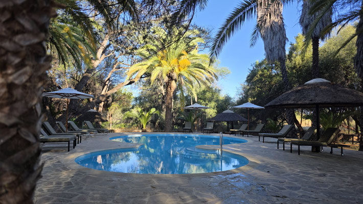 PISCINE TROPICALE DE L'OMARURU GAME LODGE EN NAMIBIE.