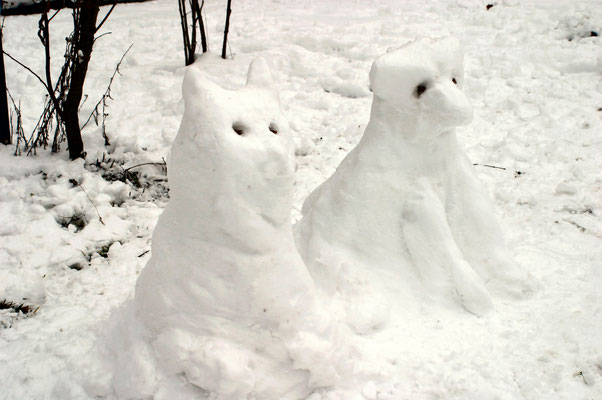 Schnee-Katze & - Hund  (c) Gerfried Schultheis