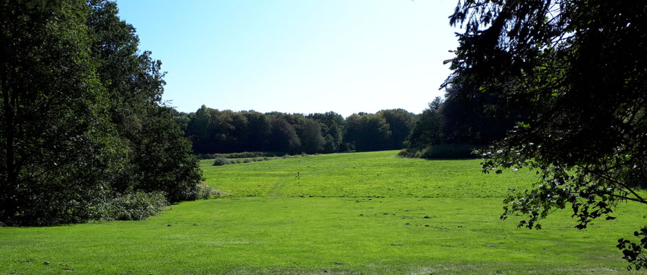 Der Bürgerpark