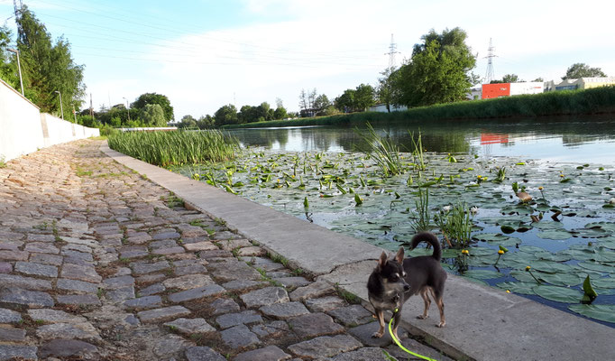 Kontrollgang an der Wasserfront