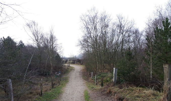 Dünenweg bei St. Peter-Dorf 