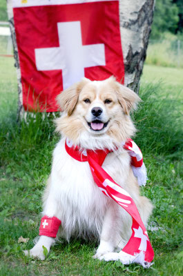 Hopp Schwiiz Hundesport Goms