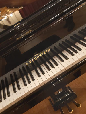 Bechstein Flügel