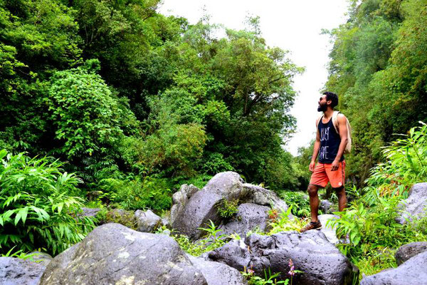 Thailand Jungle Trekking
