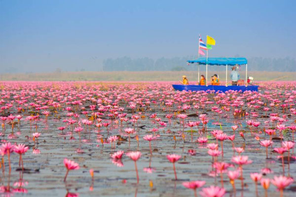 Thale Noi Lake