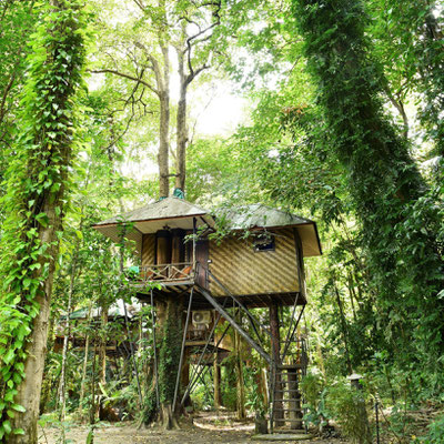 Tree House at Khao Sok Nature Resort