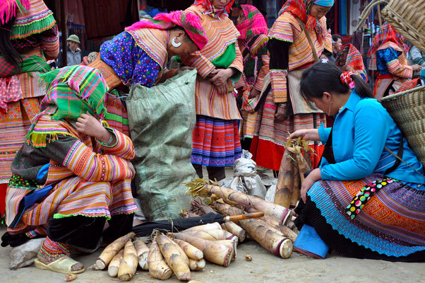 Hill Tribe Market