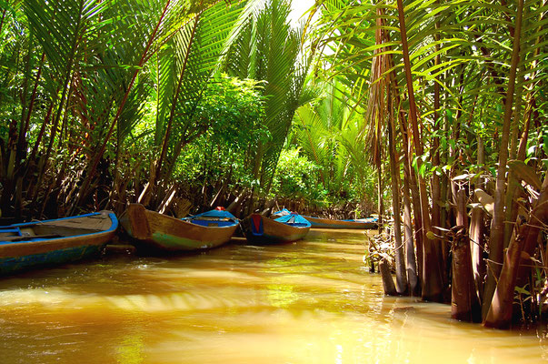 The Mekong Delta