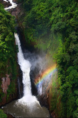 Khao Yai National Park 