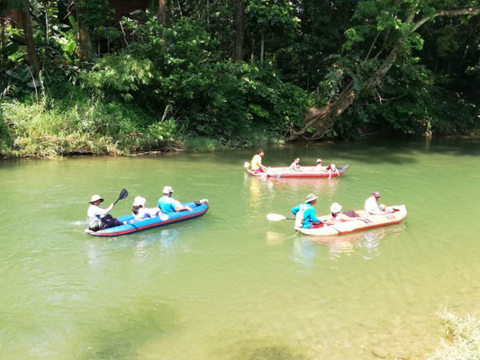 Canoe Tour at the Sok River