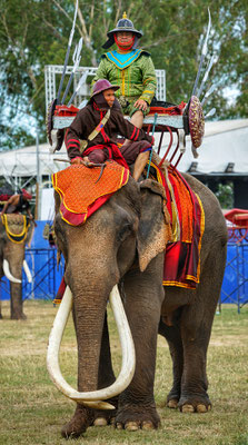 The Isaan region is proud of its heritage and their ability to tame Elephants