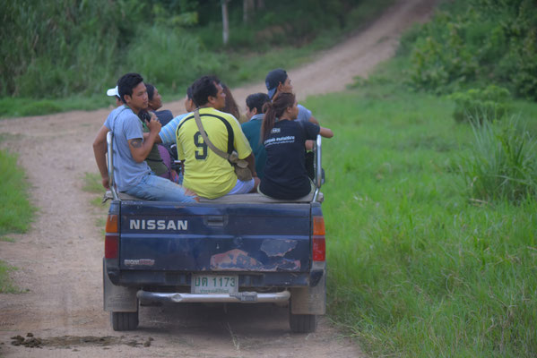 Jeep Safari to see the Elehants