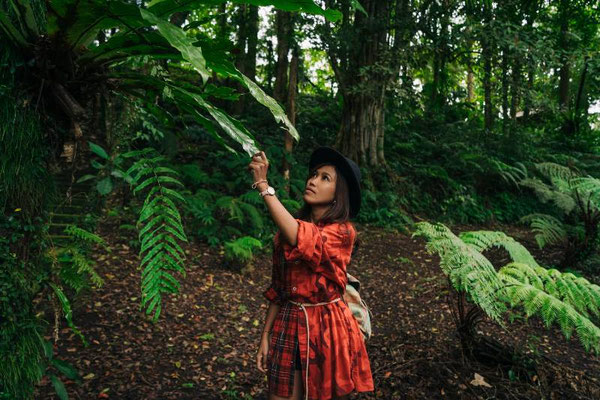Thailand Jungle Trekking