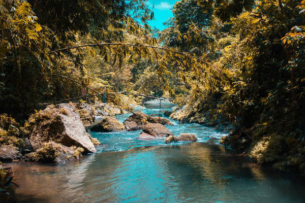 Nature Trekking