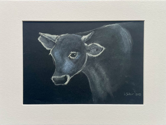 PRIVAT*Blaue Kuh  |  21x30  | Pastellkreide auf Papier
