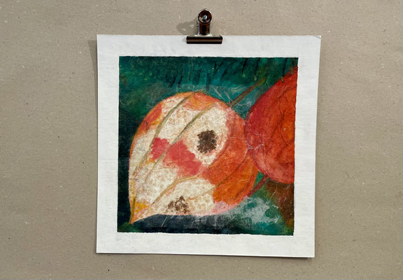Lampionblume ist NEU gerahmt  |  25x25 |  Gouache auf Papier