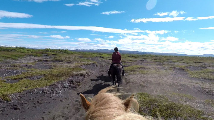 Unterwegs mit Lava Horse