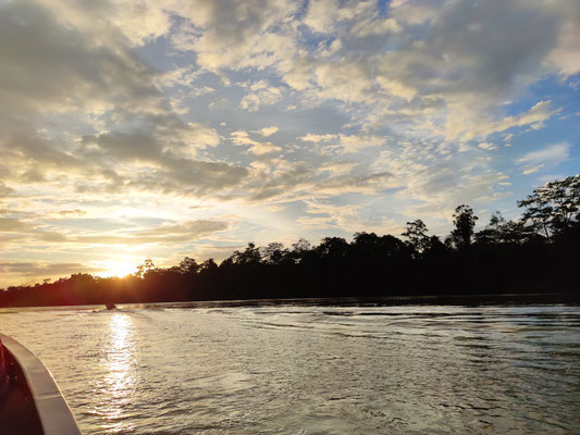 Sonnenaufgang am Kinabatangan River, Sabah, Borneo, Malaysia