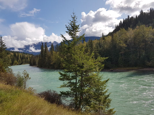 Blue River