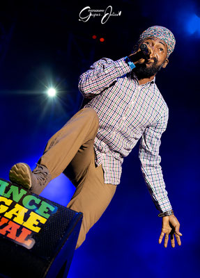 Lutan Fyah