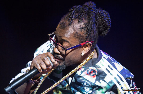 Beenie Man