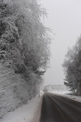 Weiße Landschaft