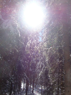 wunderbare Winterlandschaft