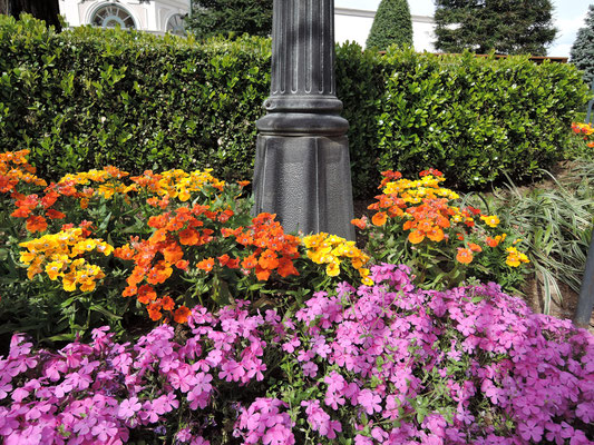Fresh Green Scenery Replacing The Cherry Blossoms From