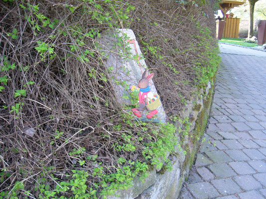 Osterhase 3